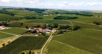 Cognac Ragnaud Sabourin Cognac Ragnaud Sabourin