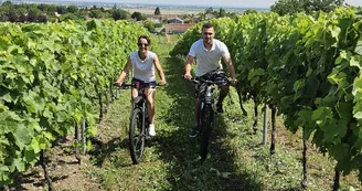 Cognac Drouet Cognac Drouet