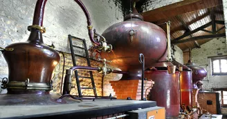 Cognac Drouet Cognac Drouet