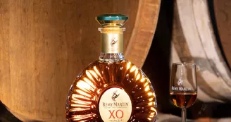 Rémy Martin