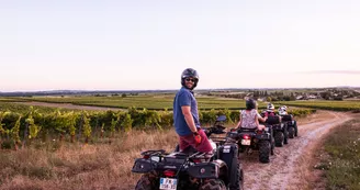 5 Quads 5 Quads