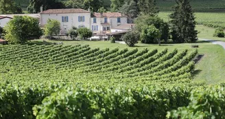 Cognac Courtin Cognac Courtin