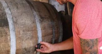Cognac Courtin Cognac Courtin