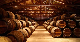 Site d'élaboration - Domaine Rémy Martin Site d'élaboration - Domaine Rémy Martin