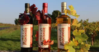 Domaine Montansier Domaine Montansier