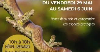 Exposition sur les serpents du Cognaçais