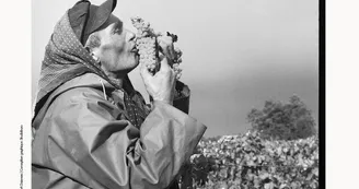 Robert Doisneau et Rémy Martin : Regard sur le cognac Robert Doisneau et Rémy Martin : Regard sur le cognac