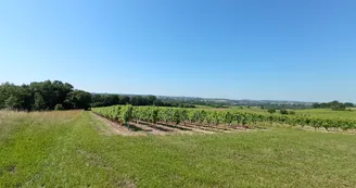 Circuit | Chemin des bergers | Châteauneuf-sur-Charente Circuit | Chemin des bergers | Châteauneuf-sur-Charente