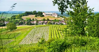 Circuit des vignes | Bouteville Circuit des vignes | Bouteville