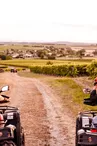 5 Quads