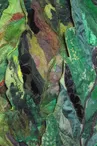 Exposition de textile | V G TAL